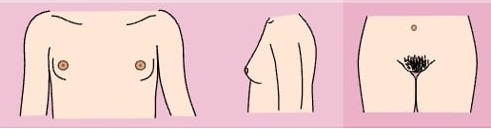 Image-Tanner-Female.jpg